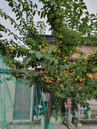 이오식님의 자유주제 · 자유게시판 작성글 사진