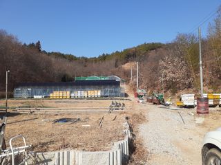 오소리와꿀벌들님의 내 농사 경력 자랑하기 · 참여 작성글 사진