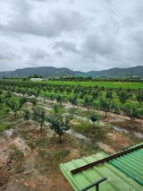 팜모닝 감·자유게시판 게시글 이미지