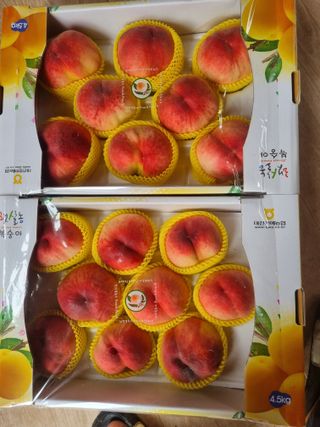 김동수 님의 복숭아 · 자유게시판 작성글 사진