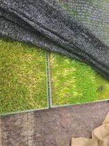 팜모닝 기타작물·병해충상담 게시글 이미지