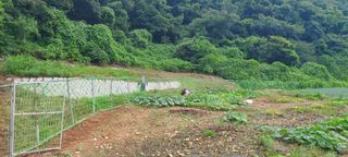 이진수님의 기타작물 · 영농일지 작성글 사진