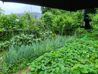 고갑윤님의 자유주제 · 자유게시판 작성글 사진