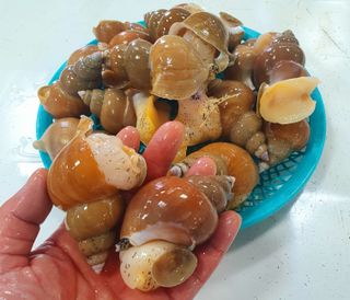 노가네수산님의 우리동네 · 동네정보 작성글 사진