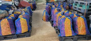 이균영님의 내 농사 경력 자랑하기 · 참여 작성글 사진