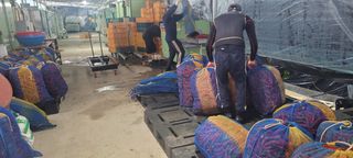 이균영님의 내 농사 경력 자랑하기 · 참여 작성글 사진