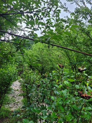 진해풍호동텃밭님의 기타작물 · 자유게시판 작성글 사진