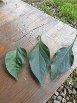 팜모닝 자유주제·자유게시판 게시글 이미지