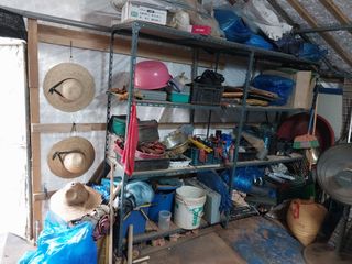 33okok님의 자유주제 · 자유게시판 작성글 사진