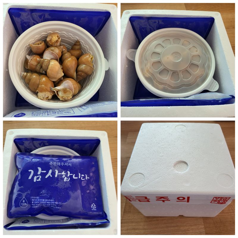 노가네수산님의 장터 판매 상품 [노가네]동해안 오동통한 100% 백고동 백골뱅이 1kg] 첨부 사진