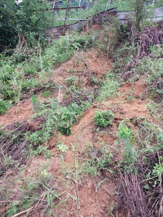 33okok님의 자유주제 · 자유게시판 작성글 사진