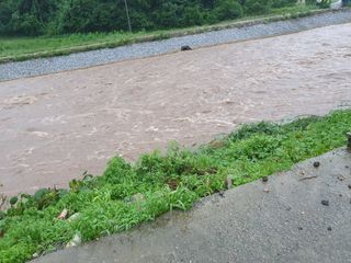 알 수 없음님의 우리동네 · 동네수다 작성글 사진