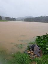 팜모닝 벼·자유게시판 게시글 이미지