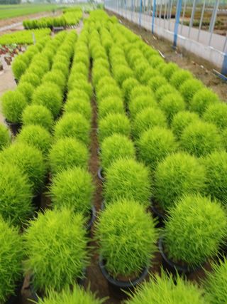 팜모닝회원 김순달 님의 내 농사 경력 자랑하기 · 참여 작성글 사진