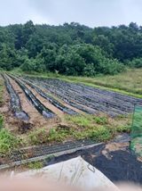 팜모닝 내 농사 경력 자랑하기·참여 게시글 이미지