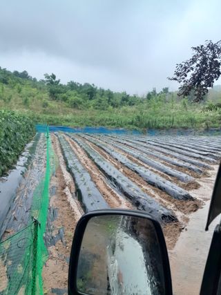 강 찬규님의 내 농사 경력 자랑하기 · 참여 작성글 사진