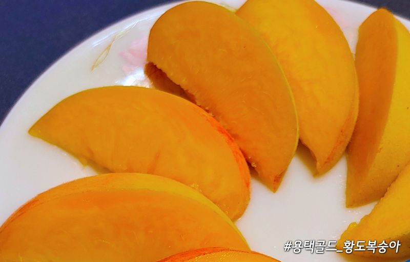 장터 상품 [♥판매종료 「용택골드」 황도복숭아🍊4kg] 썸네일