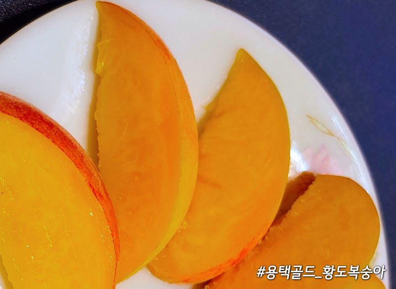 달맛햇복숭아농원님의 장터 판매 상품 [♥판매종료 「용택골드」 황도복숭아🍊4kg] 첨부 사진