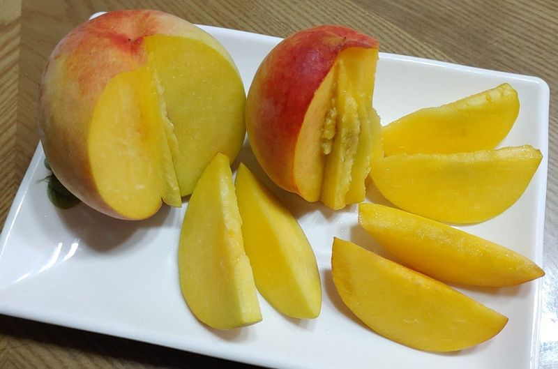 달맛햇복숭아농원님의 장터 판매 상품 [♥판매종료 「용택골드」 황도복숭아🍊4kg] 첨부 사진
