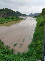 팜모닝 콩·자유게시판 게시글 이미지