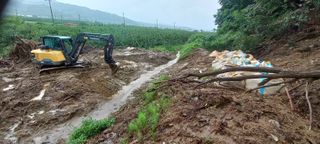 알 수 없음님의 자유주제 · 자유게시판 작성글 사진
