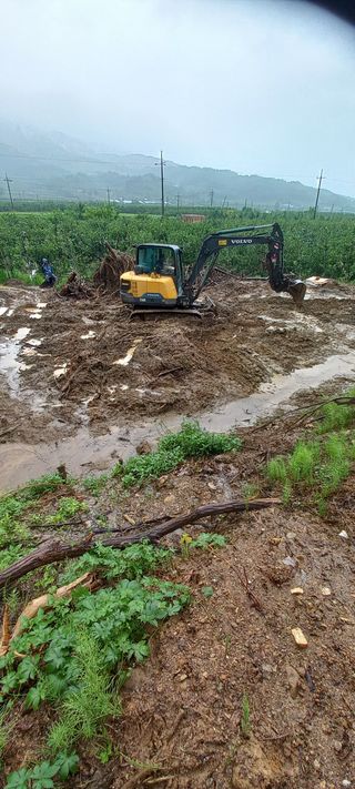 알 수 없음님의 자유주제 · 자유게시판 작성글 사진