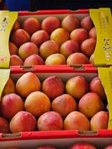 팜모닝 내 농사 경력 자랑하기·참여 게시글 이미지