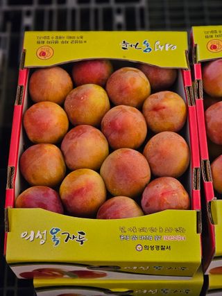 호호할매님의 내 농사 경력 자랑하기 · 참여 작성글 사진