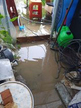 팜모닝 복숭아·자유게시판 게시글 이미지