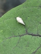 팜모닝 자유주제·자유게시판 게시글 이미지