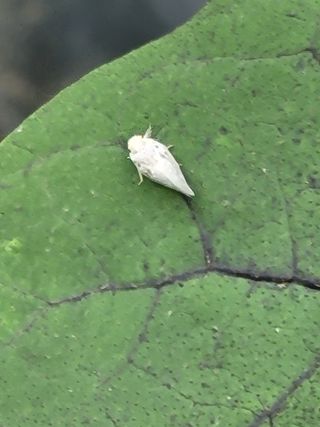 느티나무집님의 자유주제 · 자유게시판 작성글 사진