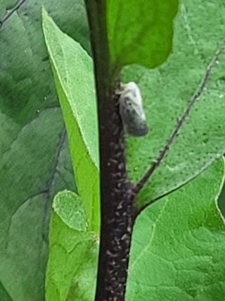 느티나무집님의 자유주제 · 자유게시판 작성글 사진