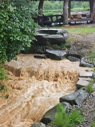 양철주님의 자유주제 · 자유게시판 작성글 사진