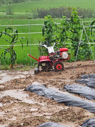 양철주님의 자유주제 · 자유게시판 작성글 사진