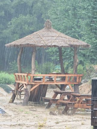 양철주님의 자유주제 · 자유게시판 작성글 사진