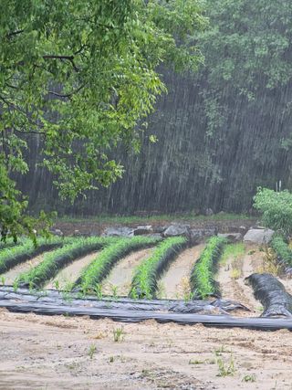 양철주님의 자유주제 · 자유게시판 작성글 사진