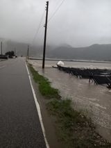 팜모닝 자유주제·자유게시판 게시글 이미지