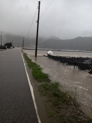 이영수님의 자유주제 · 자유게시판 작성글 사진