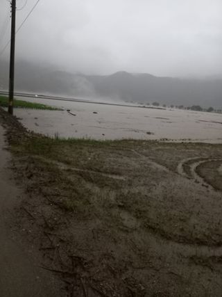 이영수님의 자유주제 · 자유게시판 작성글 사진