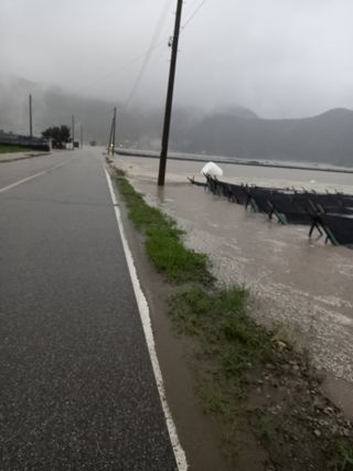 이영수님의 자유주제 · 자유게시판 작성글 사진