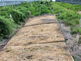 이창신님의 기타작물 · 자유게시판 작성글 사진