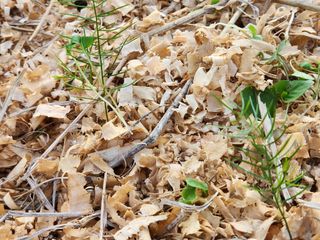 이창신님의 기타작물 · 자유게시판 작성글 사진