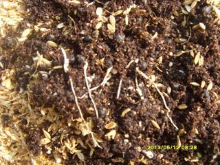 이창신님의 기타작물 · 자유게시판 작성글 사진