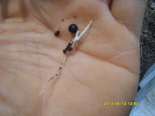 이창신님의 기타작물 · 자유게시판 작성글 사진