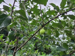 전병대님의 내 농사 경력 자랑하기 · 참여 작성글 사진