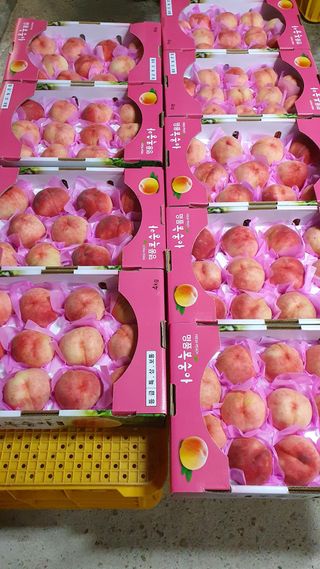 유선경님의 내 농사 경력 자랑하기 · 참여 작성글 사진