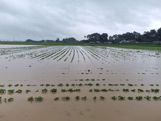 나광준님의 콩 · 자유게시판 작성글 사진