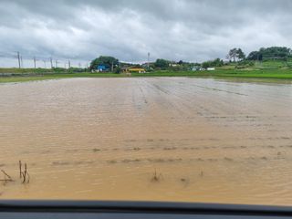 나광준님의 콩 · 자유게시판 작성글 사진