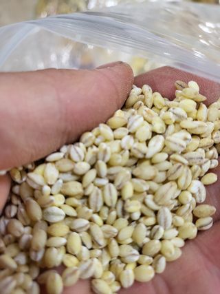 김영진(전남영광)님의 작성글 사진