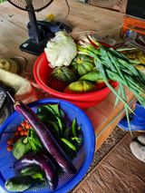 팜모닝 자유주제·자유게시판 게시글 이미지